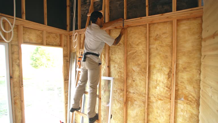 Best Insulation for Existing Homes  in Port Clinton, OH